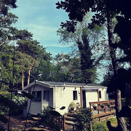 Knus chalet midden in de bossen Nunspeet Buitenkant foto