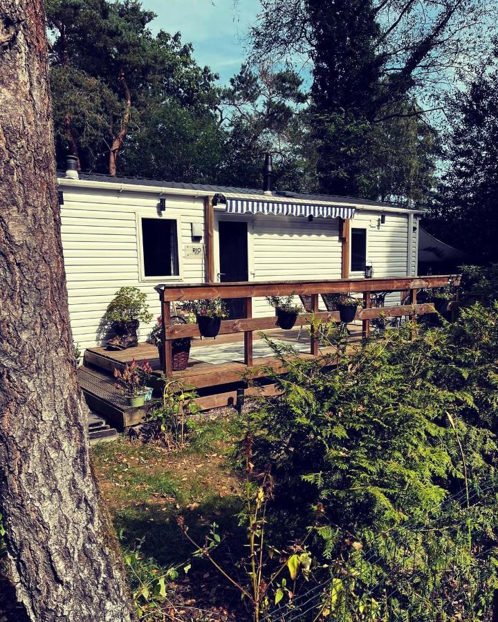 Knus chalet midden in de bossen Nunspeet Buitenkant foto