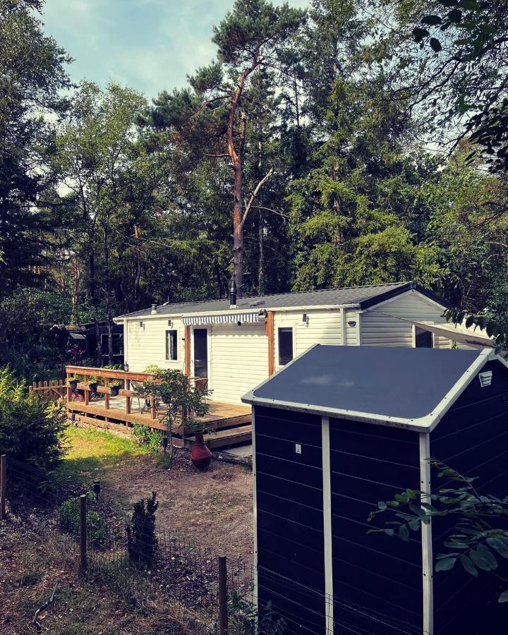 Knus chalet midden in de bossen Nunspeet Buitenkant foto