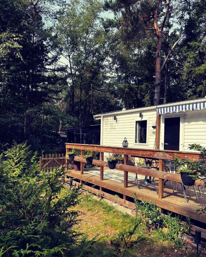Knus chalet midden in de bossen Nunspeet Buitenkant foto